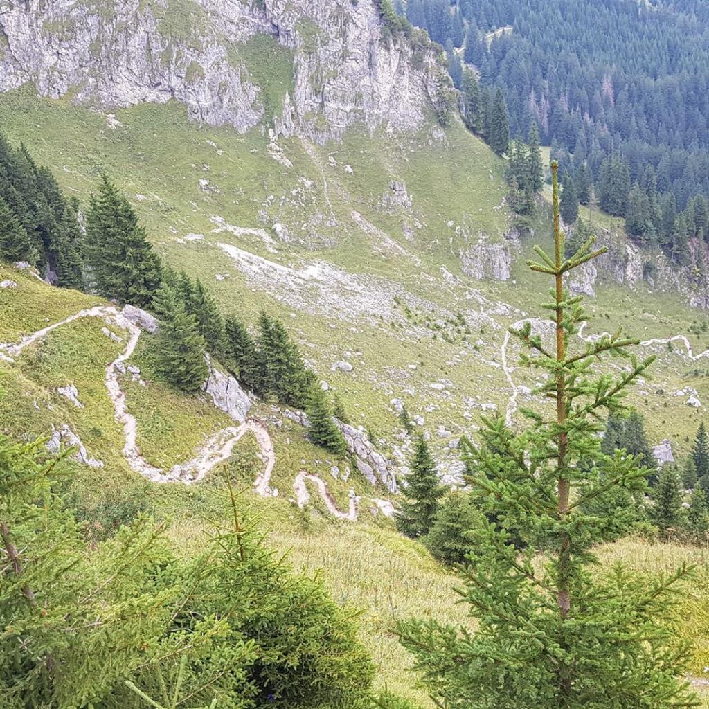 Der „Böse Tritt“