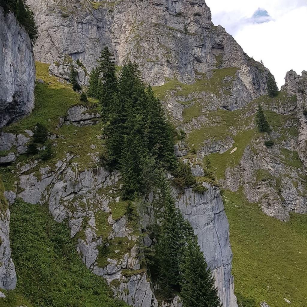 Felswände und Vorgipfel vom „Bösen Tritt“ aus gesehen