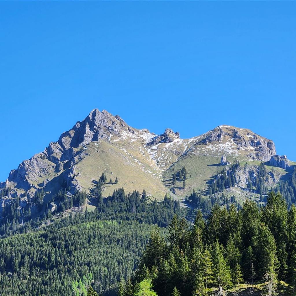 Der Aggenstein vom Ausgangspunkt