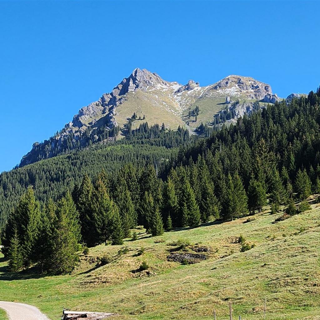 Die ganze Tour im Blick