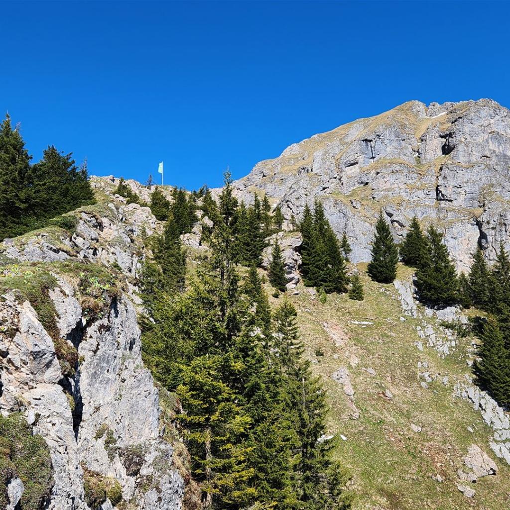 DAV-Fahne und Vorgipfel