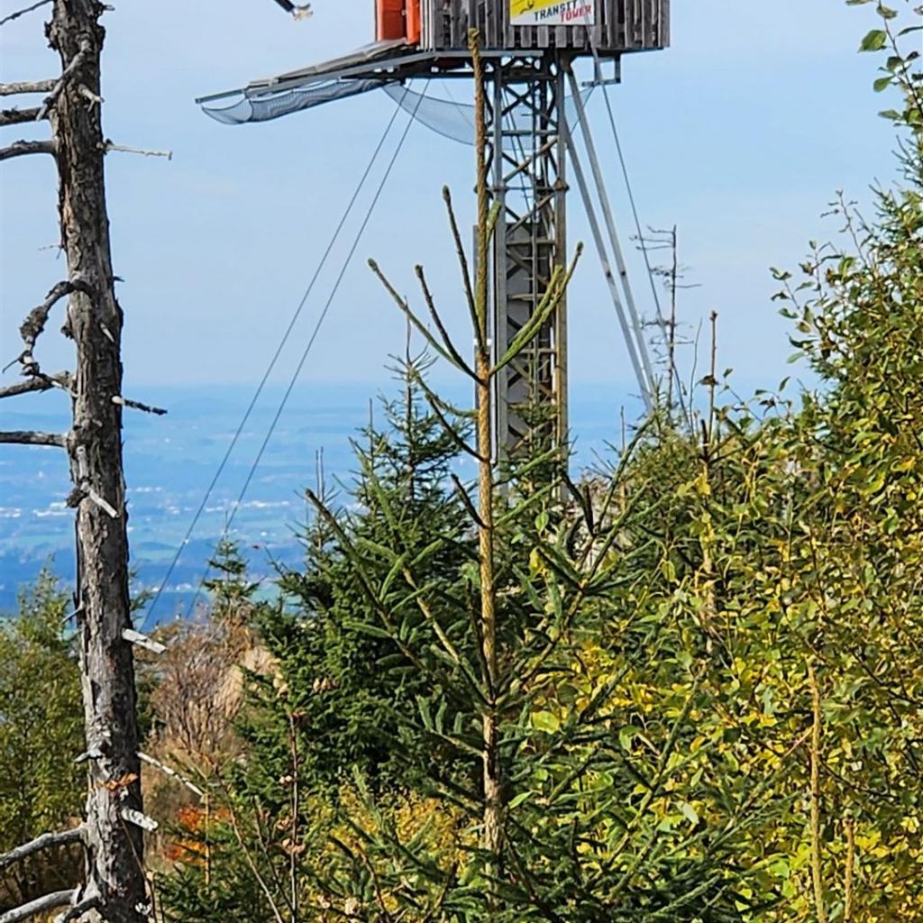 Zipline Zwischenstation
