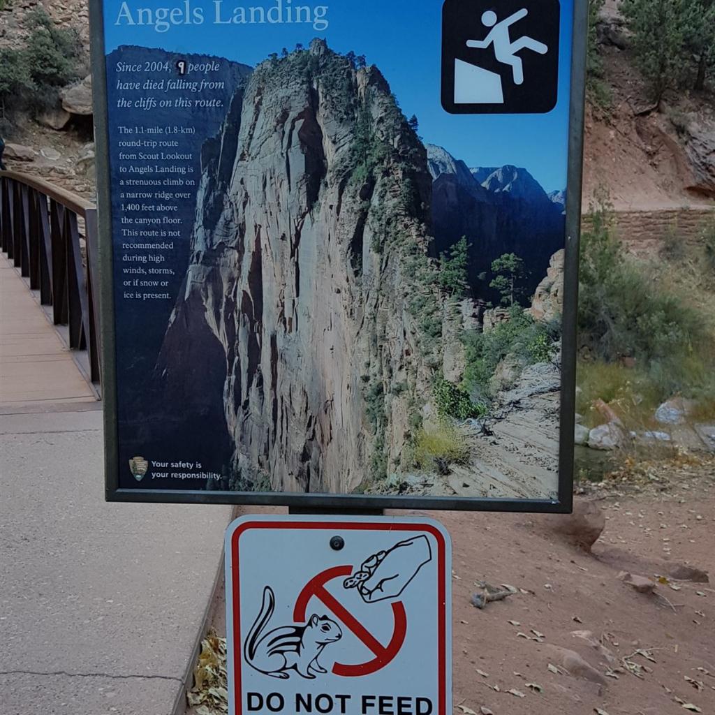 9 Tote von 2009 bis 2019 sind Warnung genug