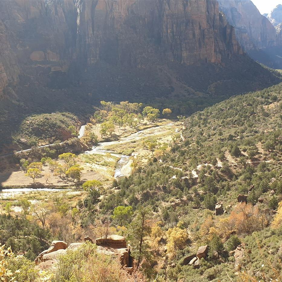 Blick zurück auf den Anfang des Trails