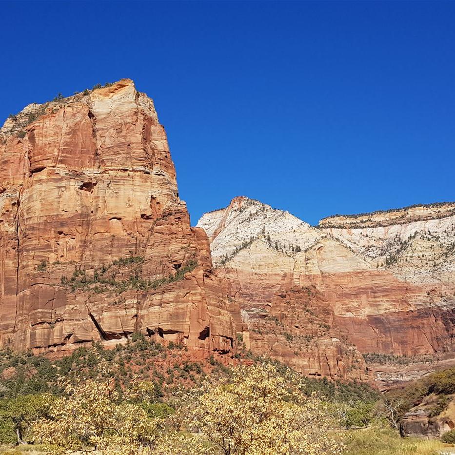 Die Haifischflosse aus der Ferne