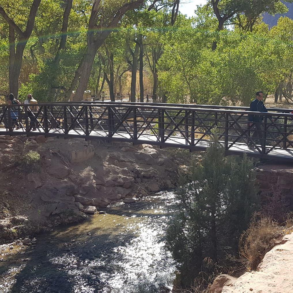 Brücke am Trailhead bei „The Grotto“