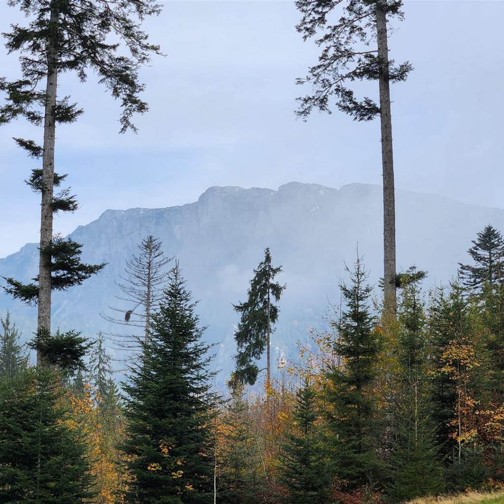 Erster Blick auf die Benediktenwand