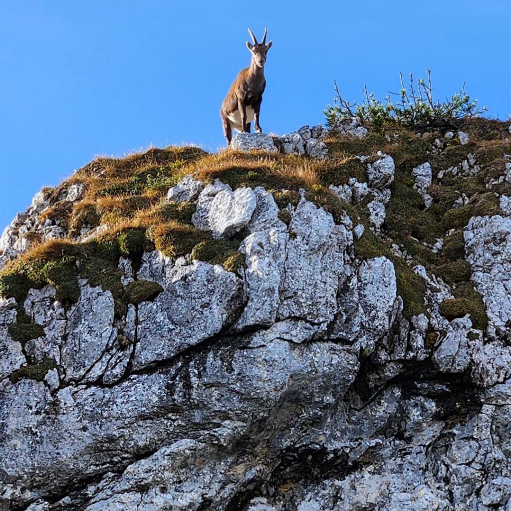 Big brother is watching me