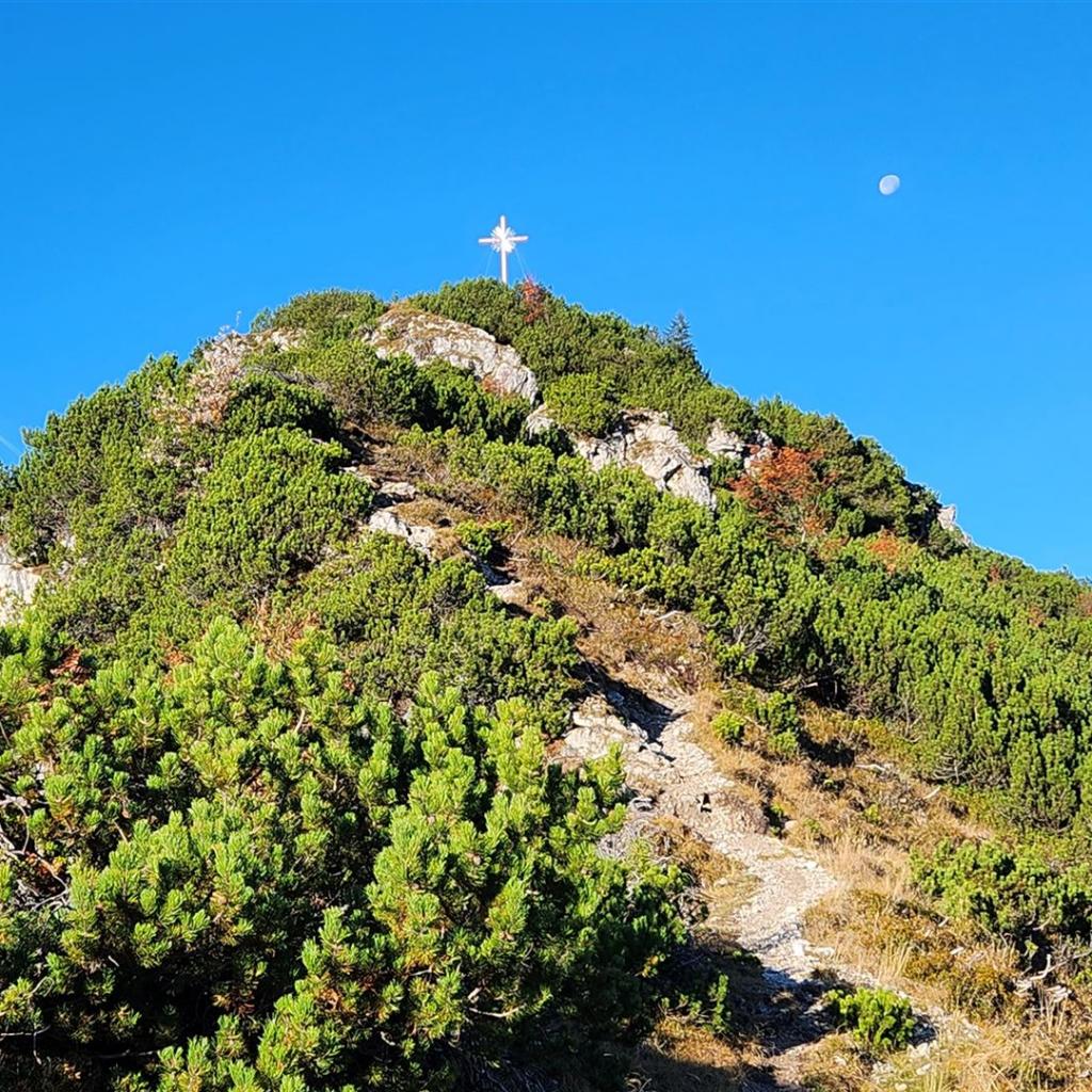 Das Brünstlkreuz im Blick