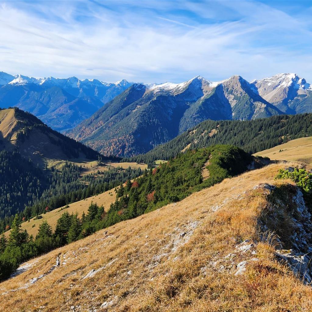 Der Weg vom Vorderen Felderkopf nach Westen