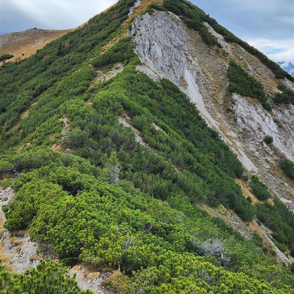 Kein offizieller Weg über den Grat nach Graswang