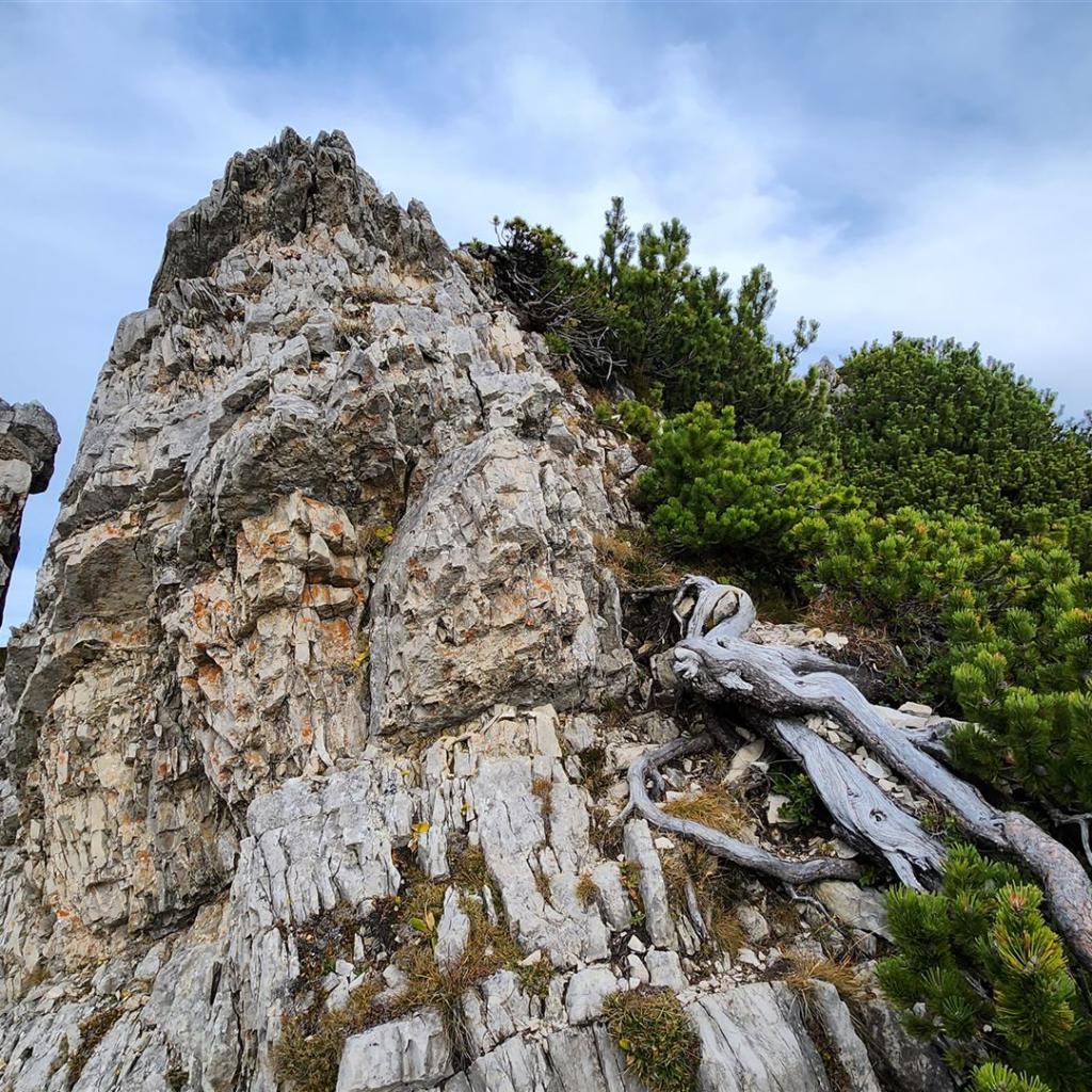 Kein offizieller Weg über den Grat nach Graswang