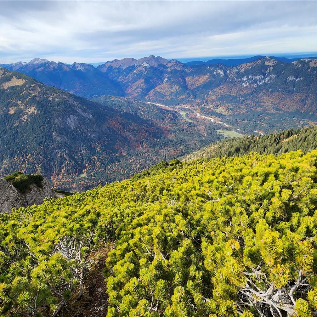 Kein offizieller Weg über den Grat nach Graswang