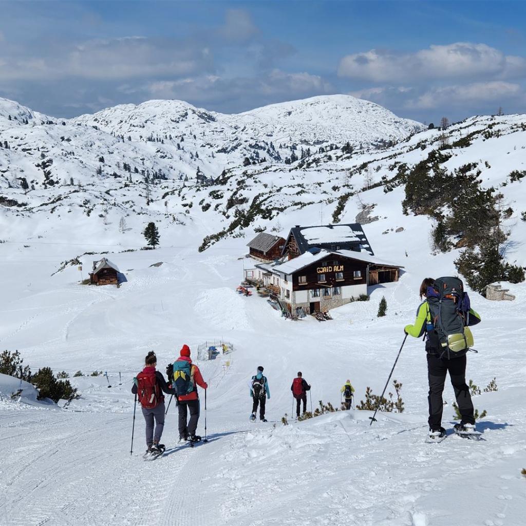 Ein Katzensprung zur Gjaid Alm