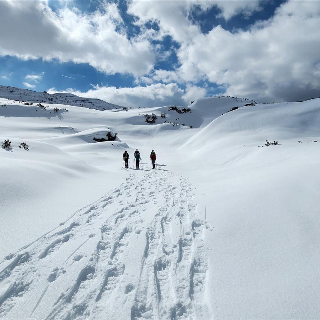 Endlose Schneewüste