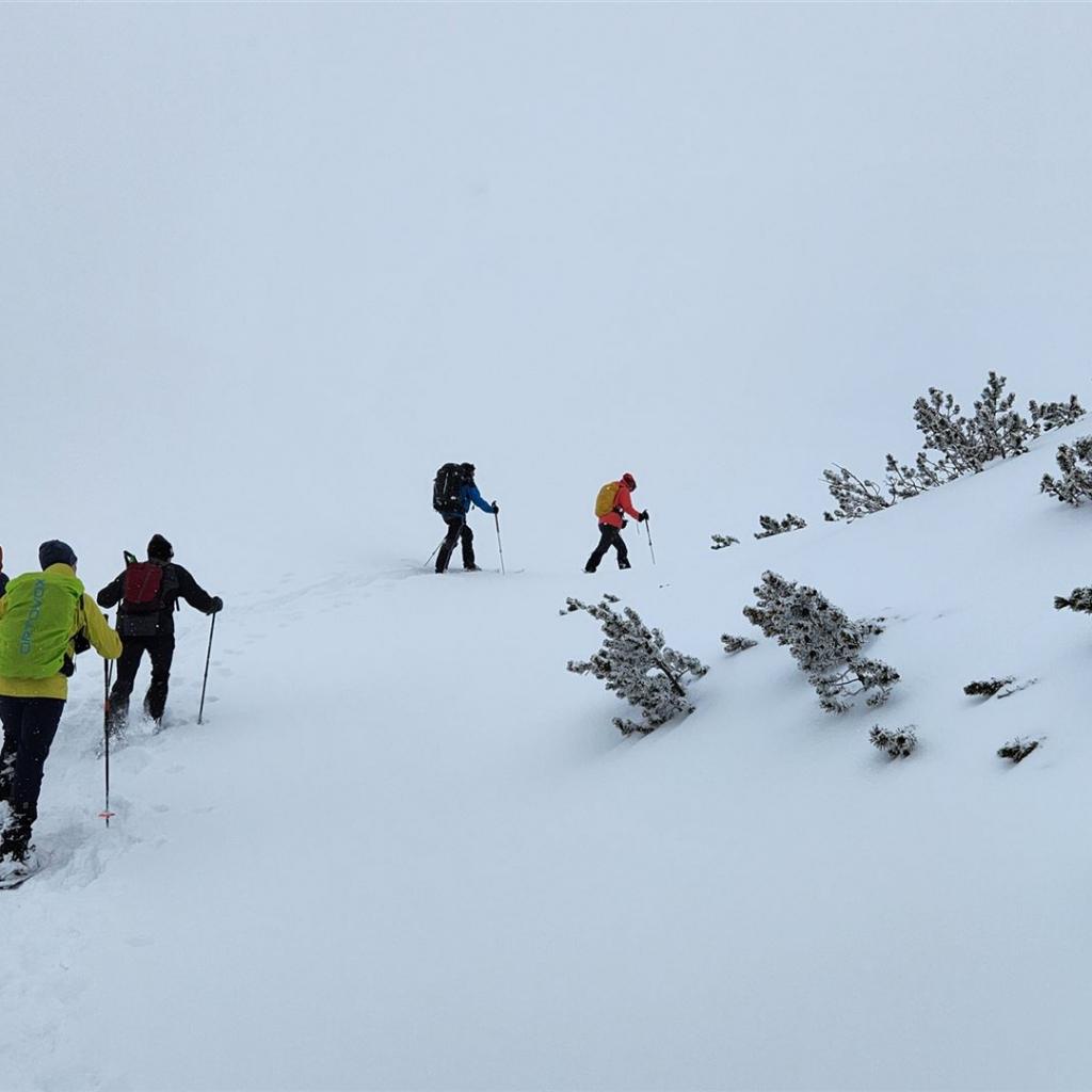 Durchs Schneegestöber