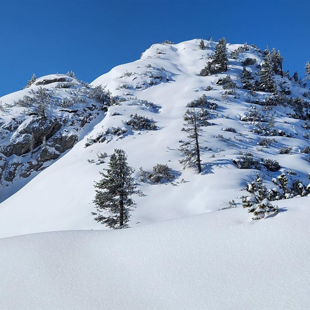 Unberührte Winterlandschaft