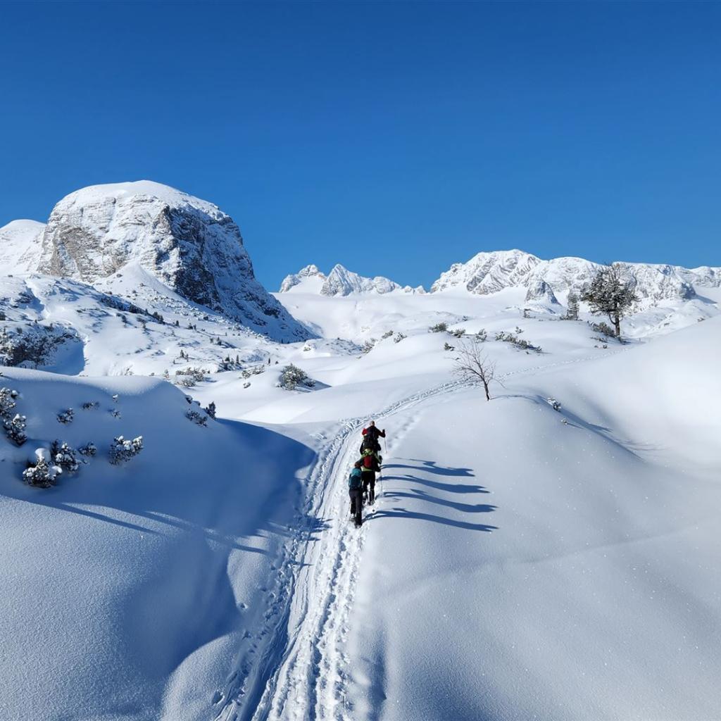 Unterwegs zum Zwölferkogel