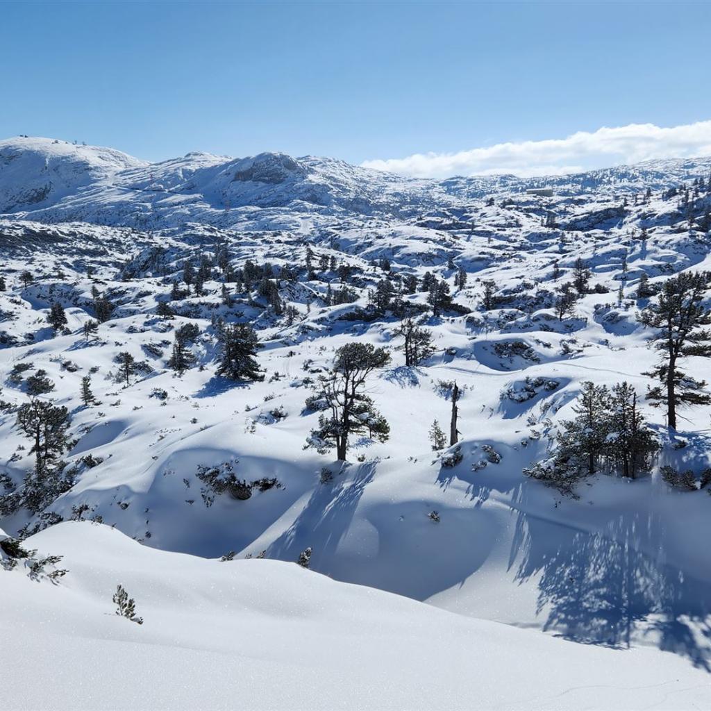 Blick zurück zum Krippenstein