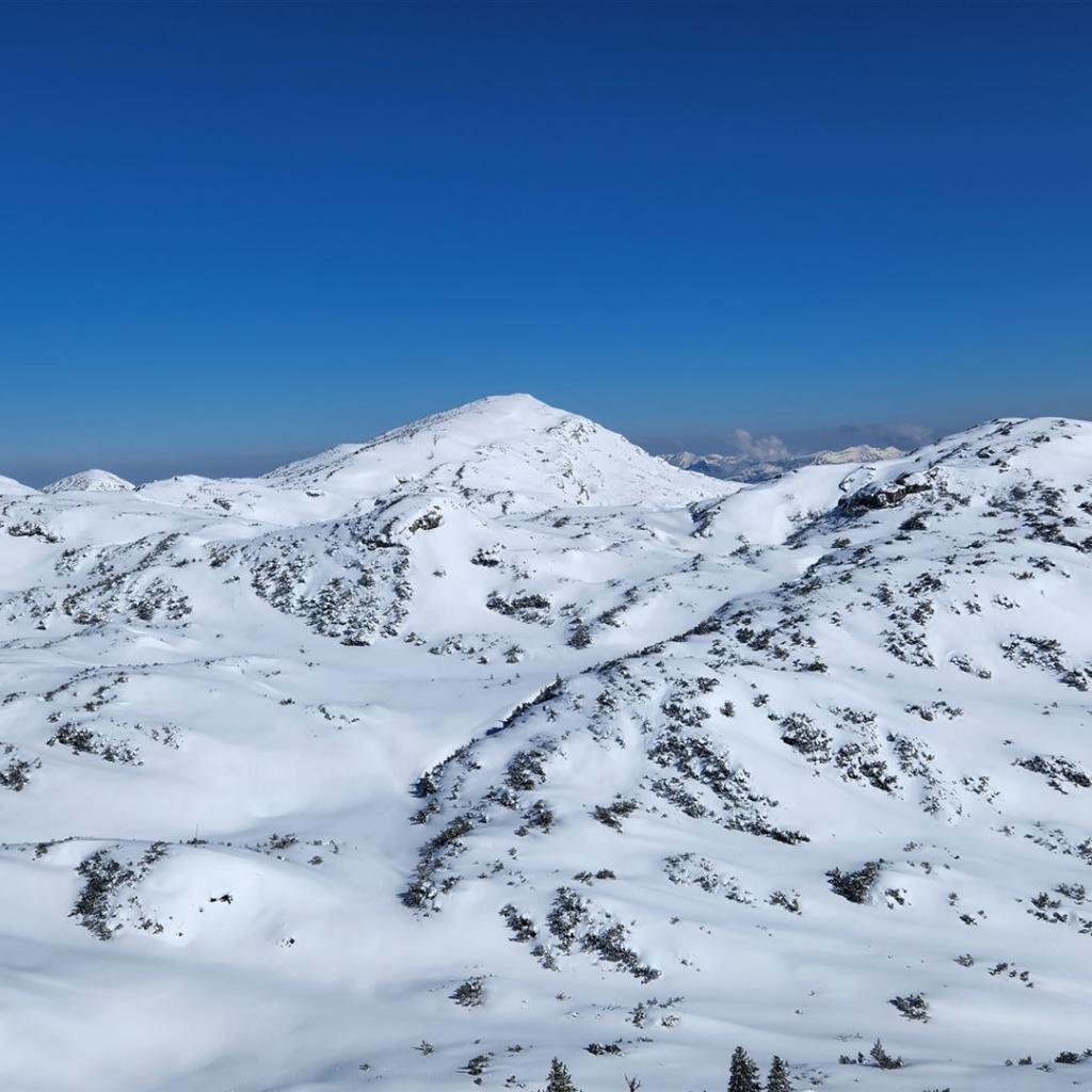Blick zum Zwölferkogel