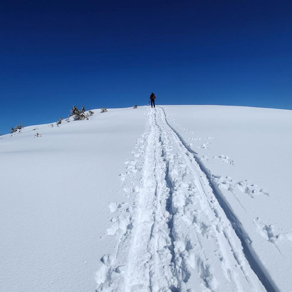 Die letzten Meter vor dem Zwölferkogel