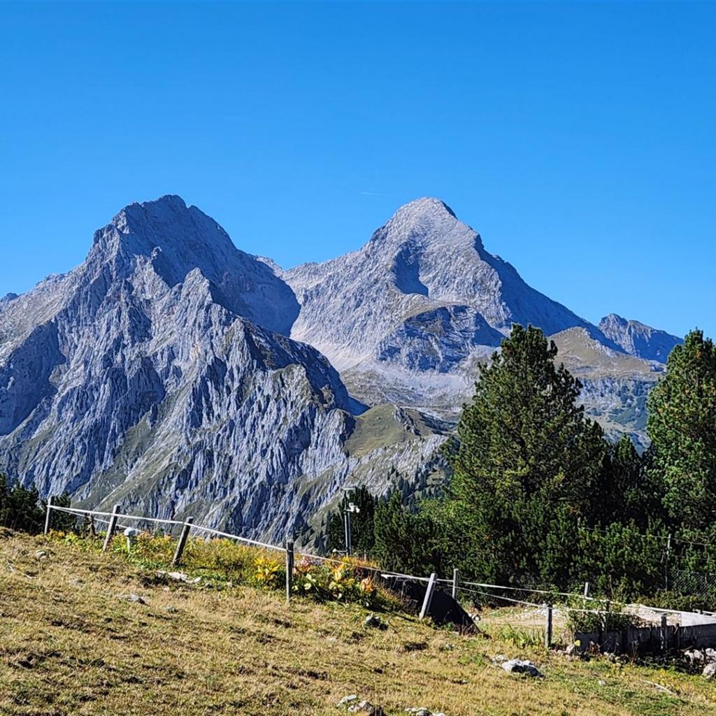 Blick vom Schachen auf Hochblassen und Alpspitze