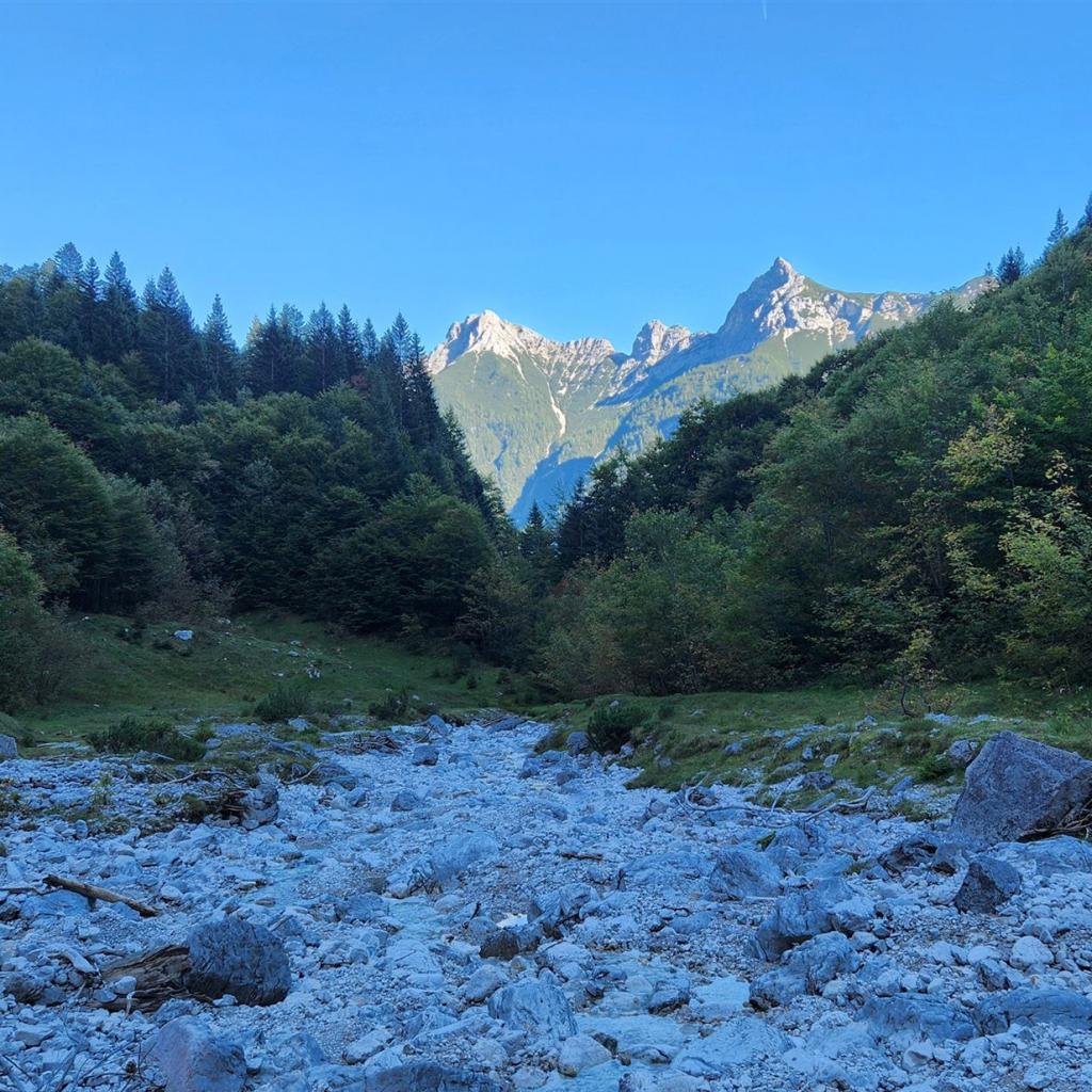 Die Arnspitzen vom Bergleintal gesehen