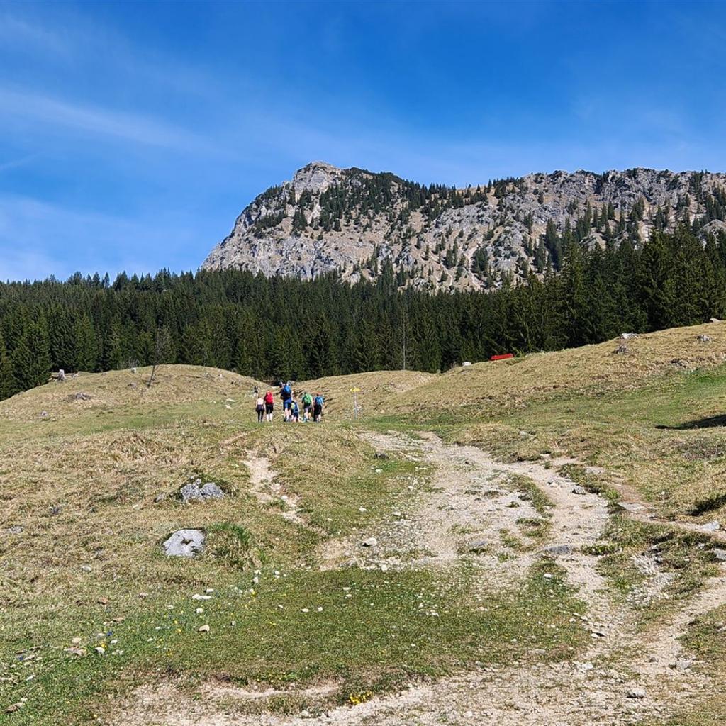 Blick zurück auf den Einstein