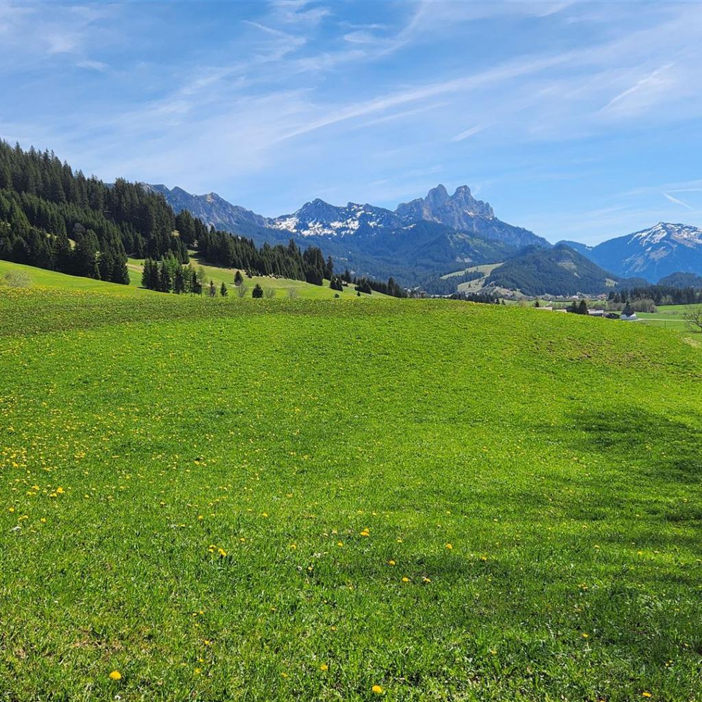 Wunderschönes Tannheimer Tal