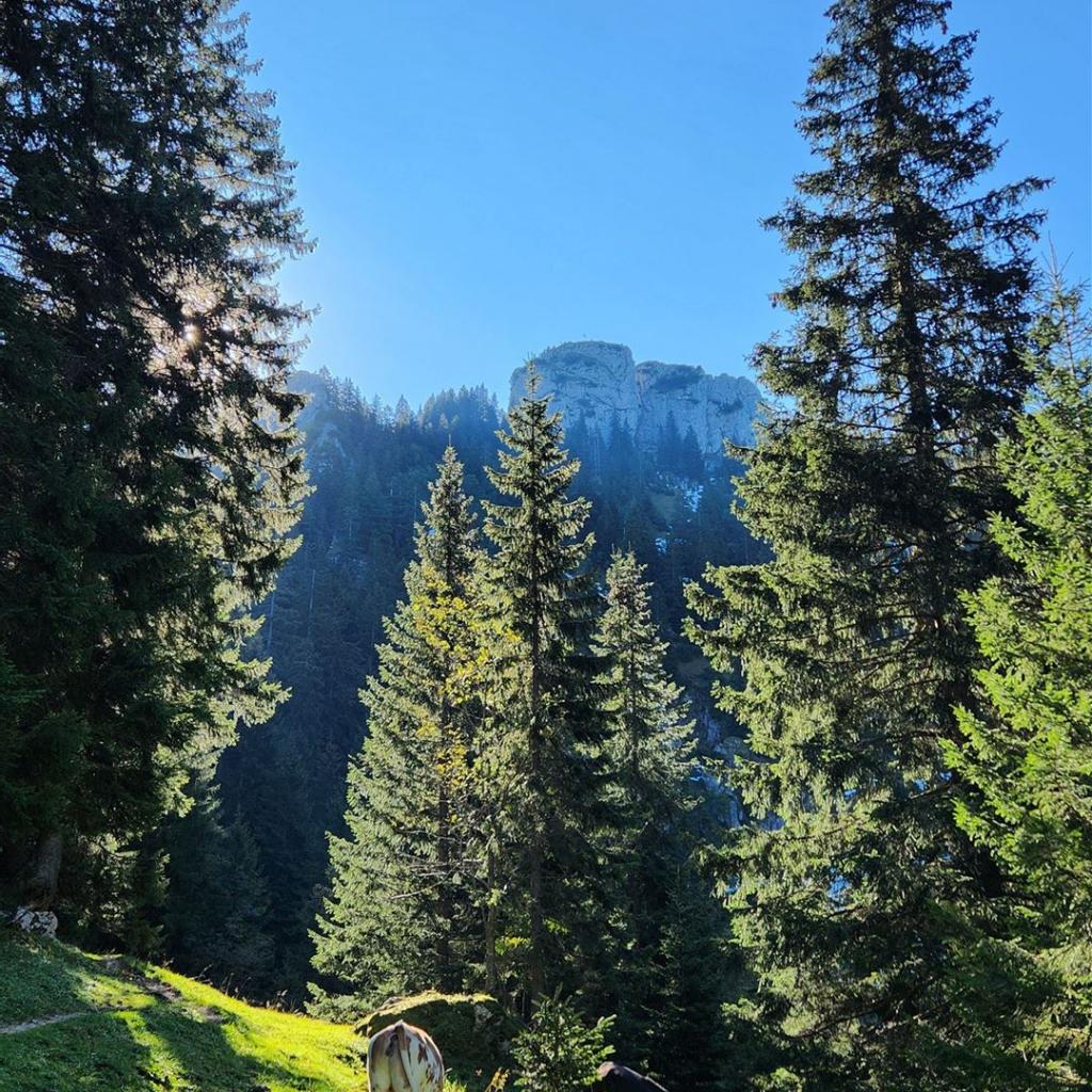 Blick zurück zum Ettaler Manndl