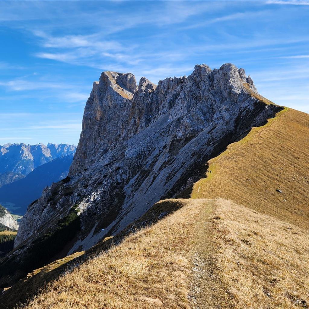 Wiesengrat Richtung Gehrenspitze