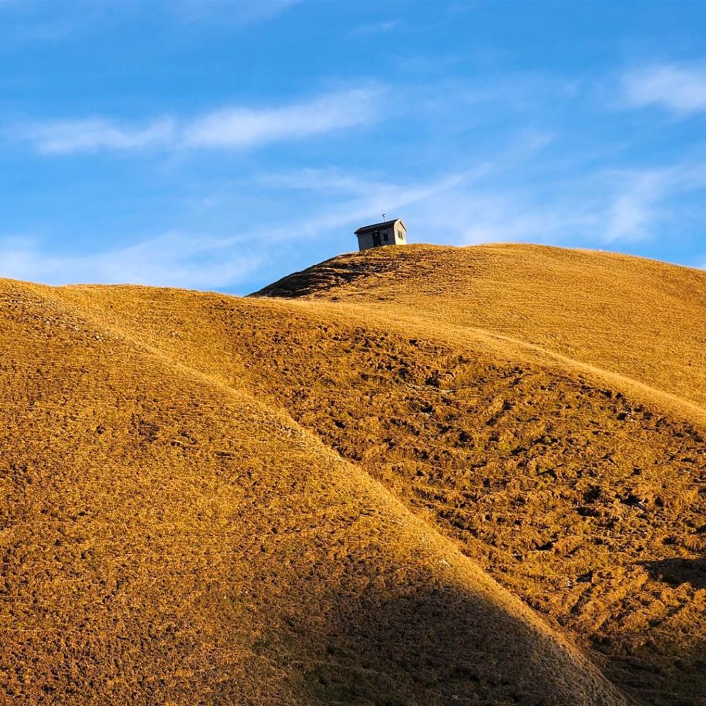Leuchtende Bergwiesen