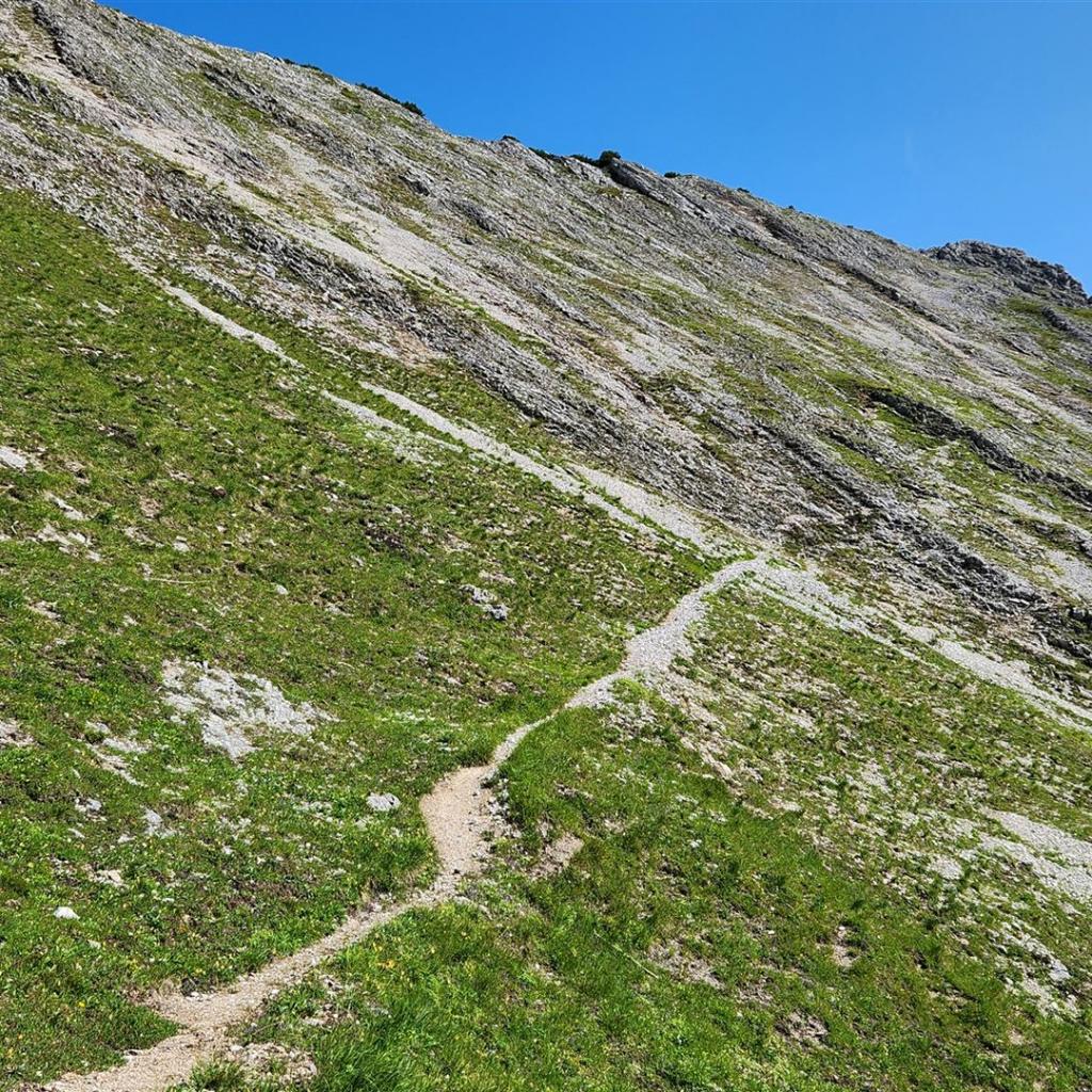 Blick zurück auf die Hangquerung