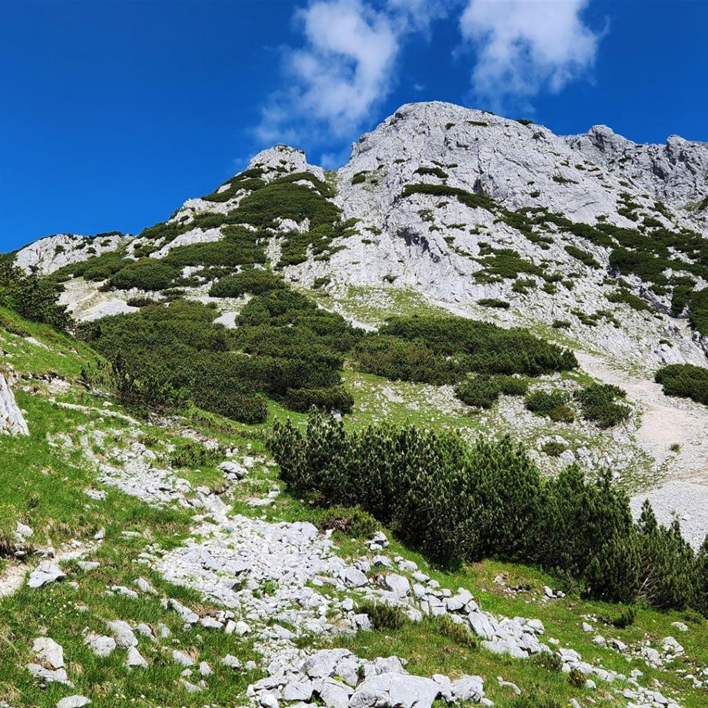 Ab hier wird es steiler