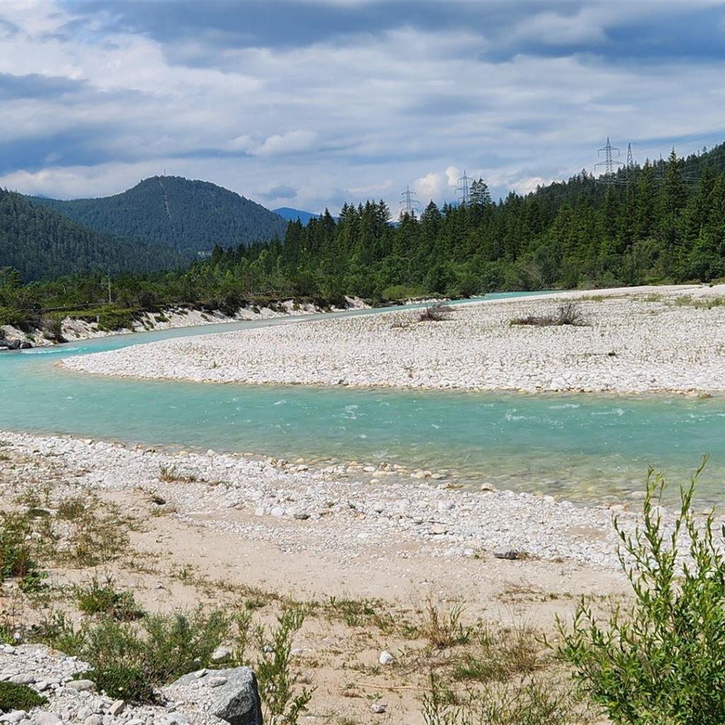 Wunderschöne, grüne Isar