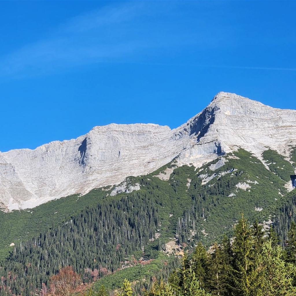 Blick von Steinberg auf den Guffert