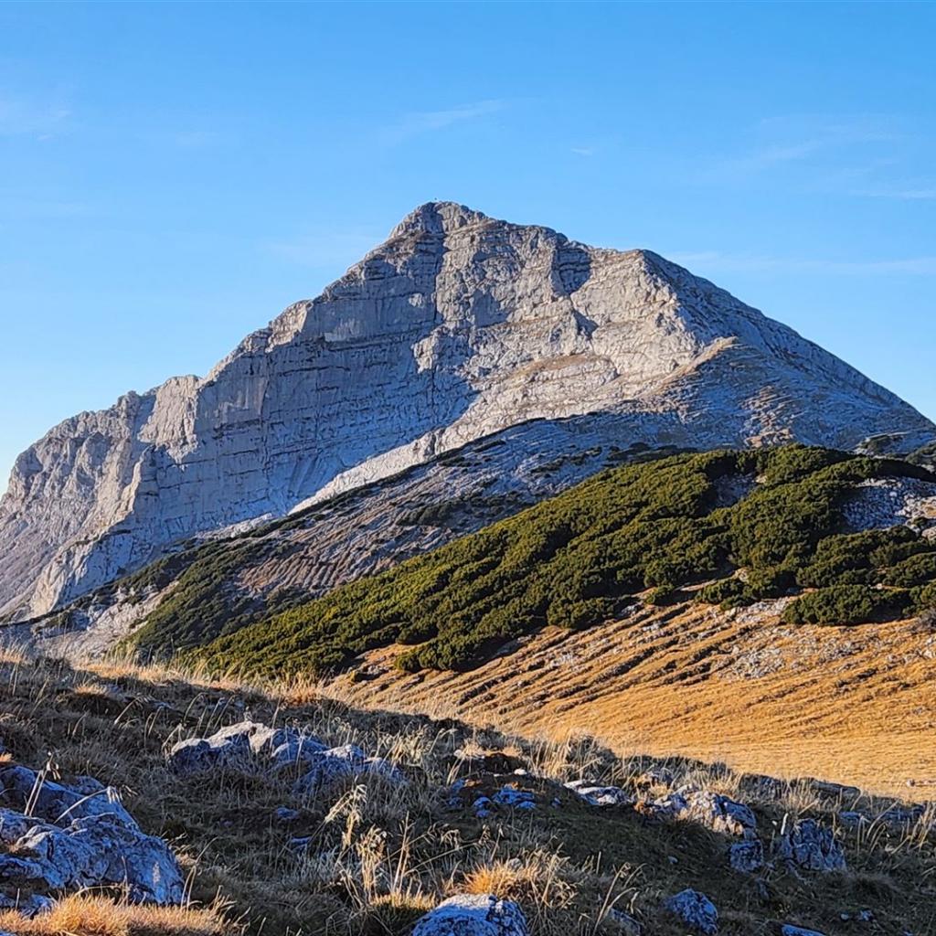 Der Guffert aus Osten