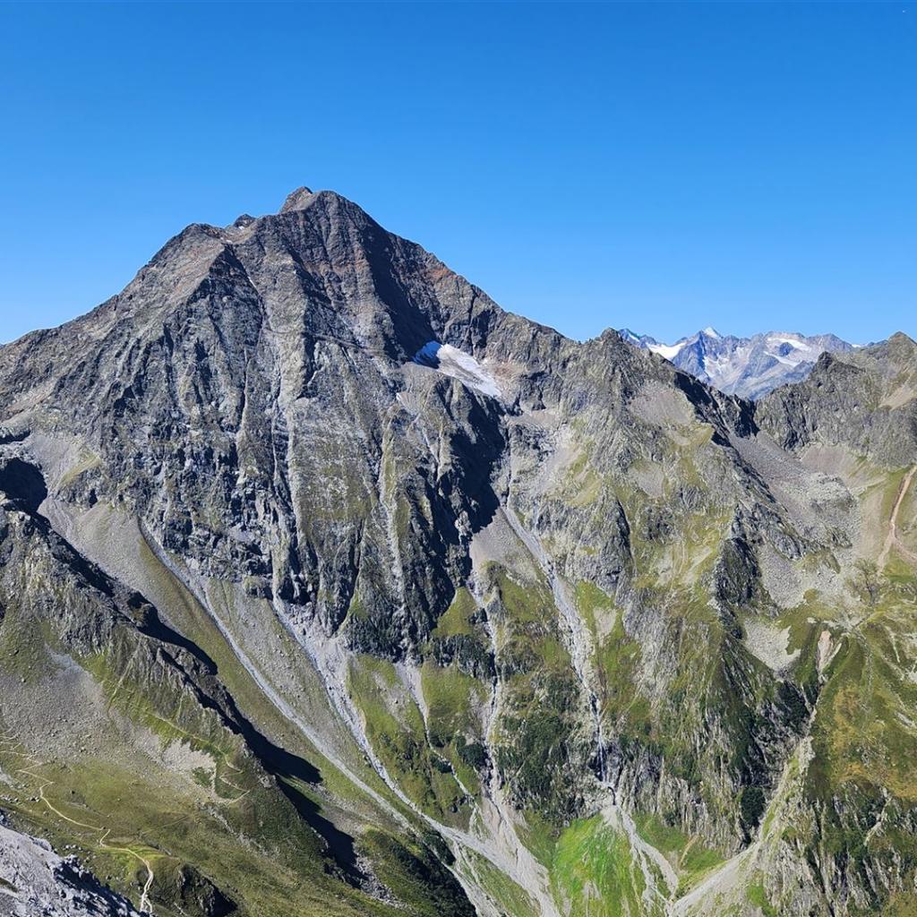 Der Habicht von Osten gesehen