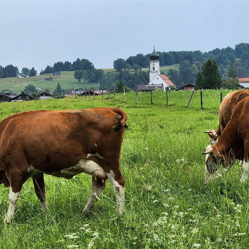 Start im schönen Ohlstadt