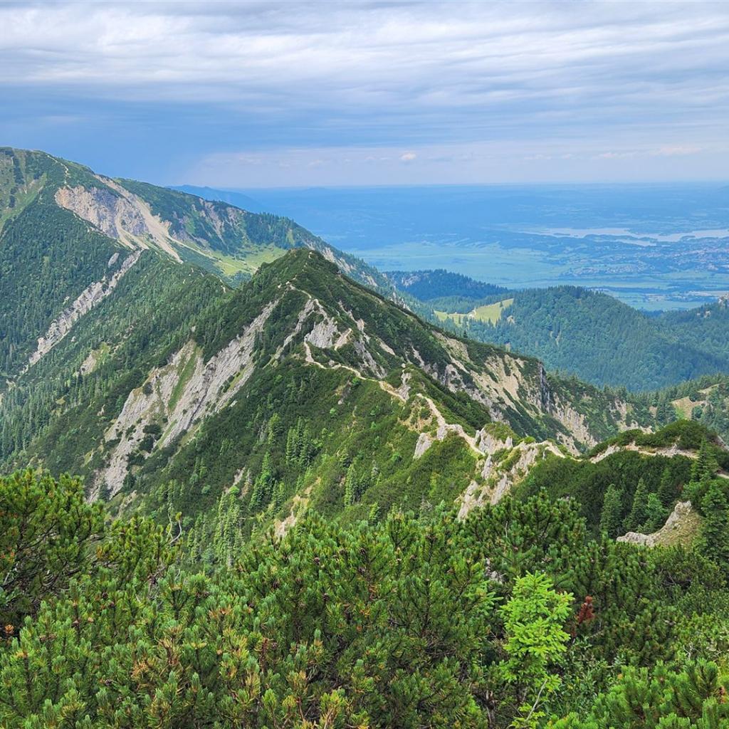 Blick zurück zum Heimgarten