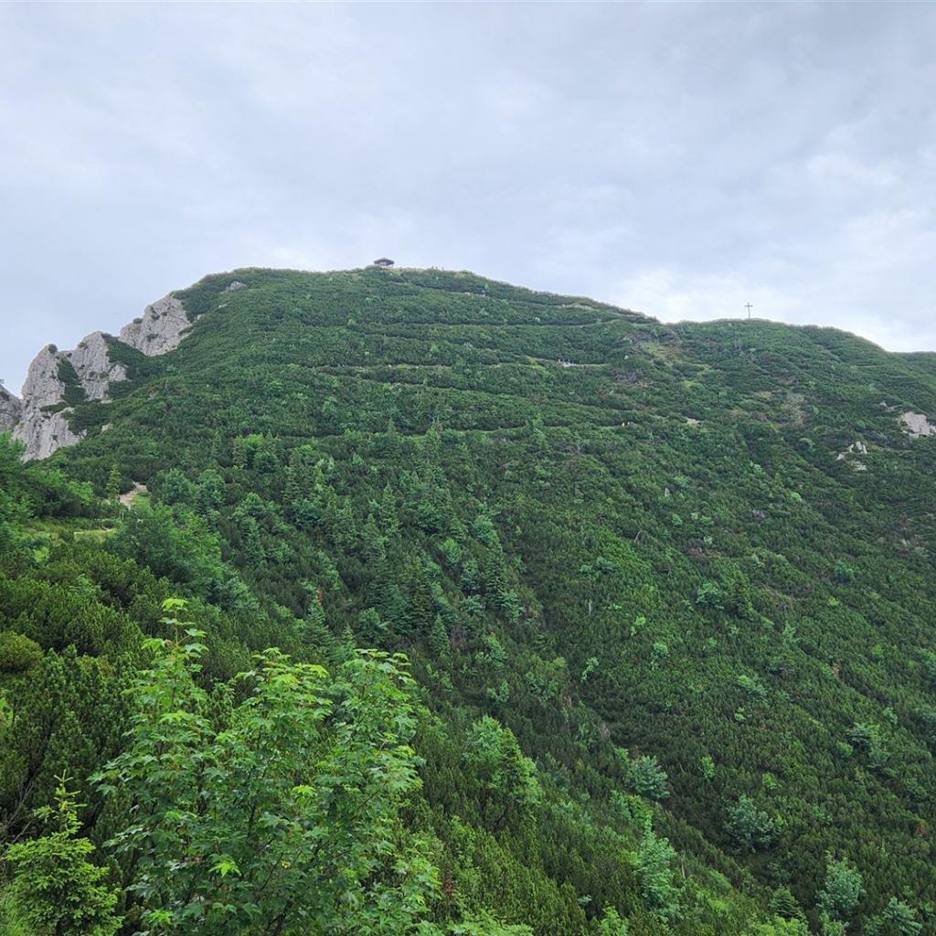 Blick zurück zum Herzogstand