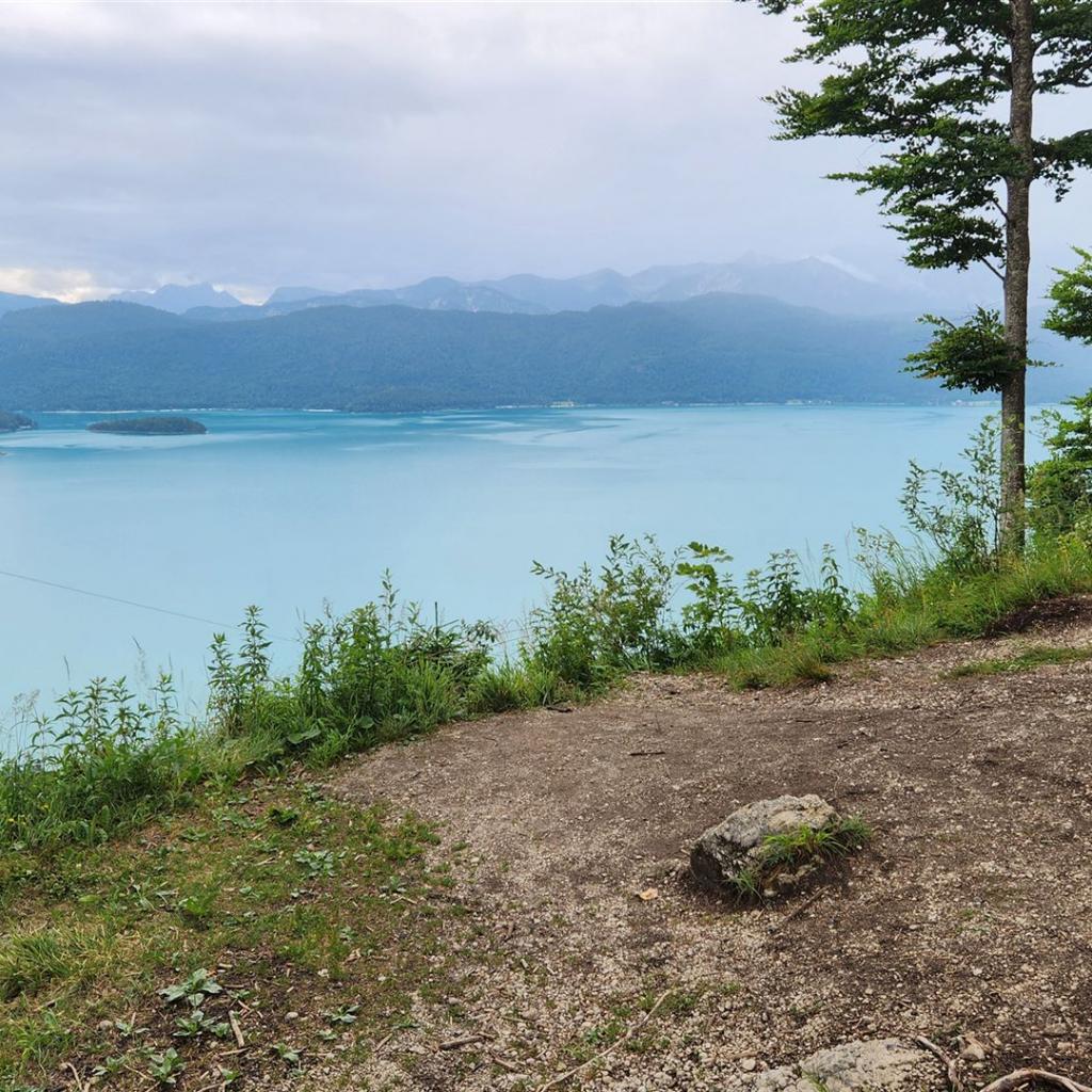 König Ludwigs Aussichtsplatzerl