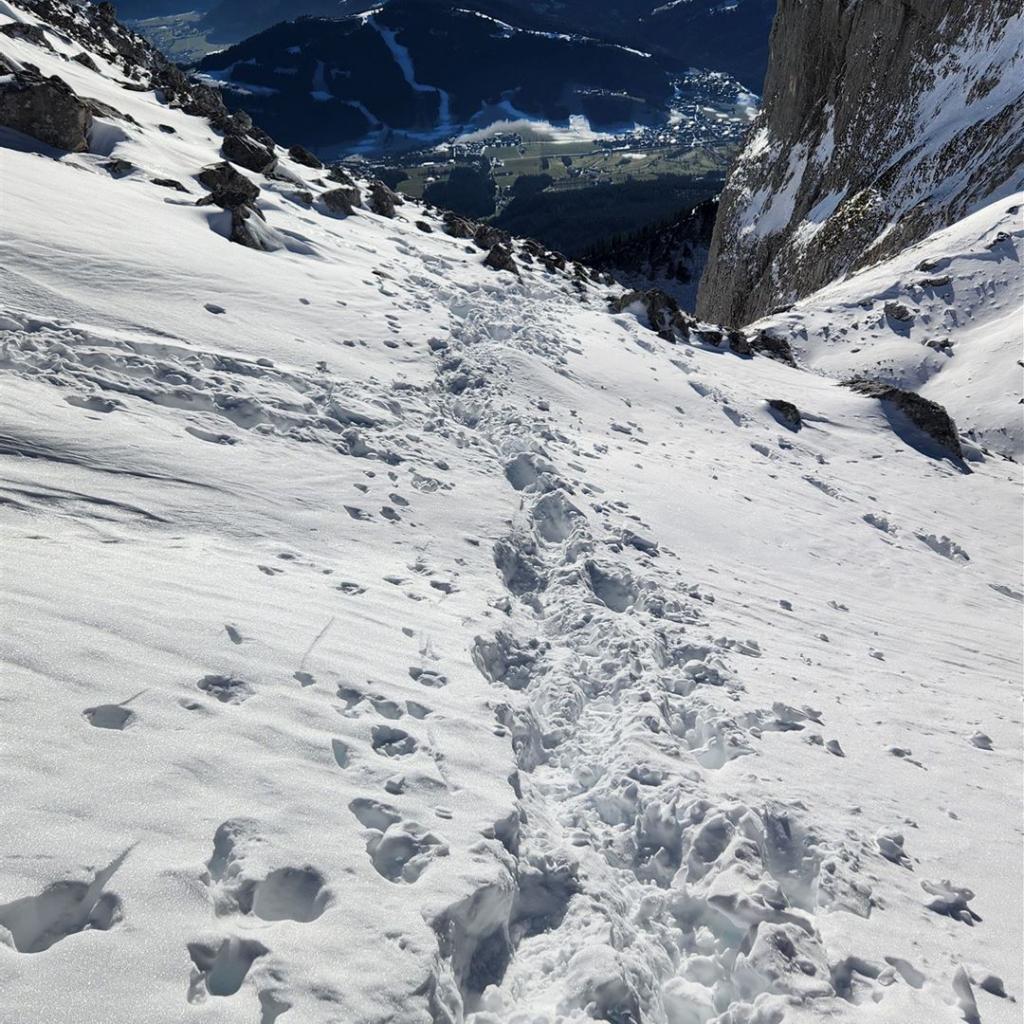 Blick hinunter nach Ellmau