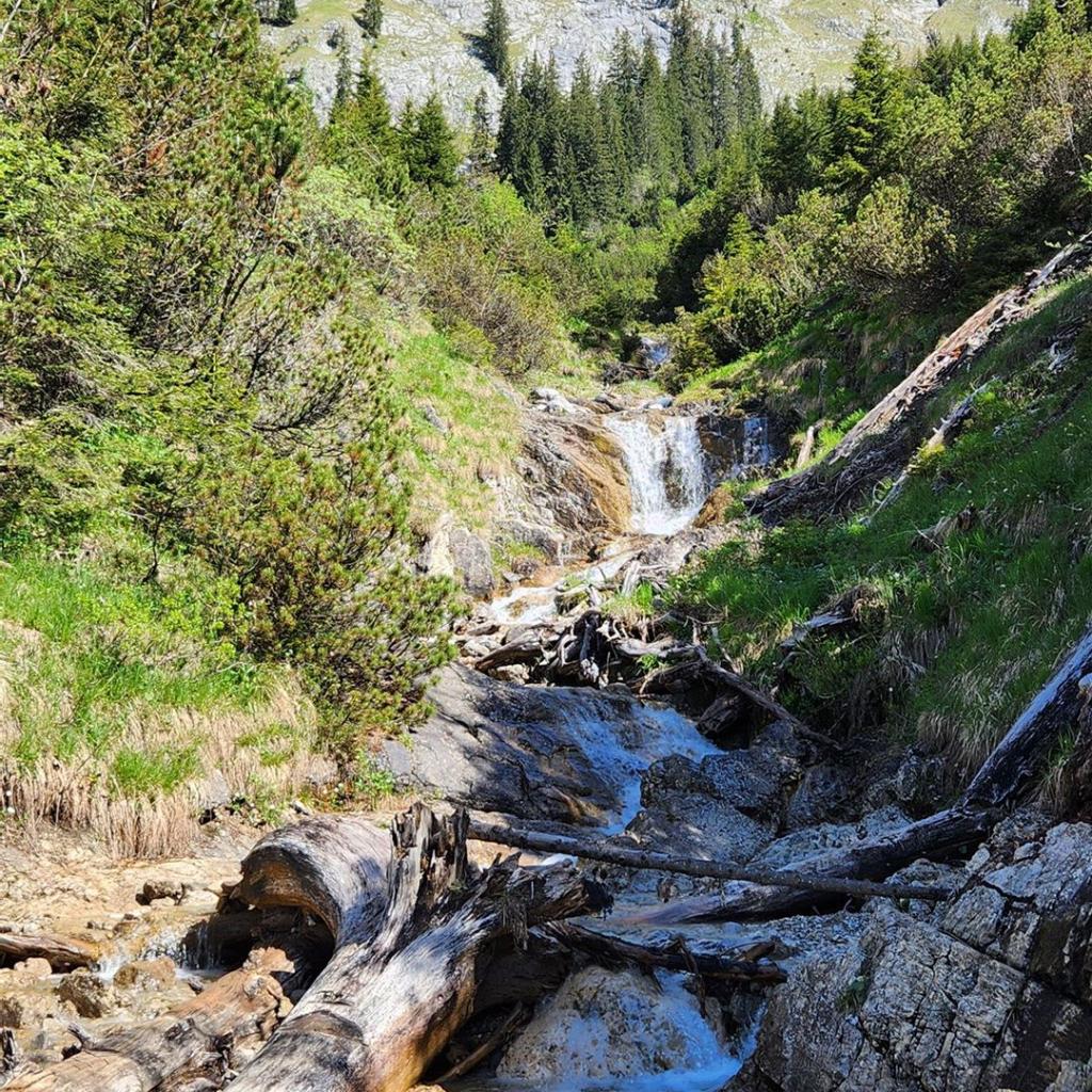 Wildromantischer Aufstieg