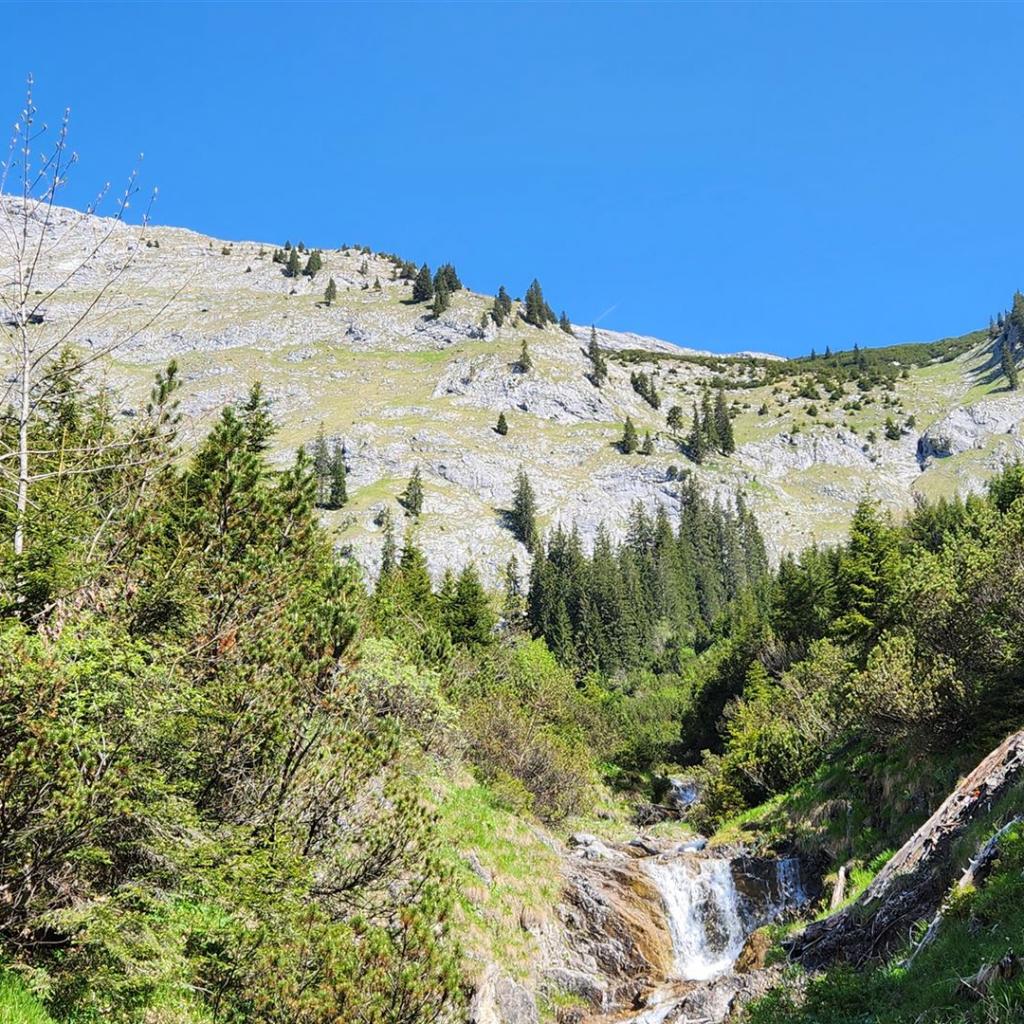 Blick zum Gipfelgrat