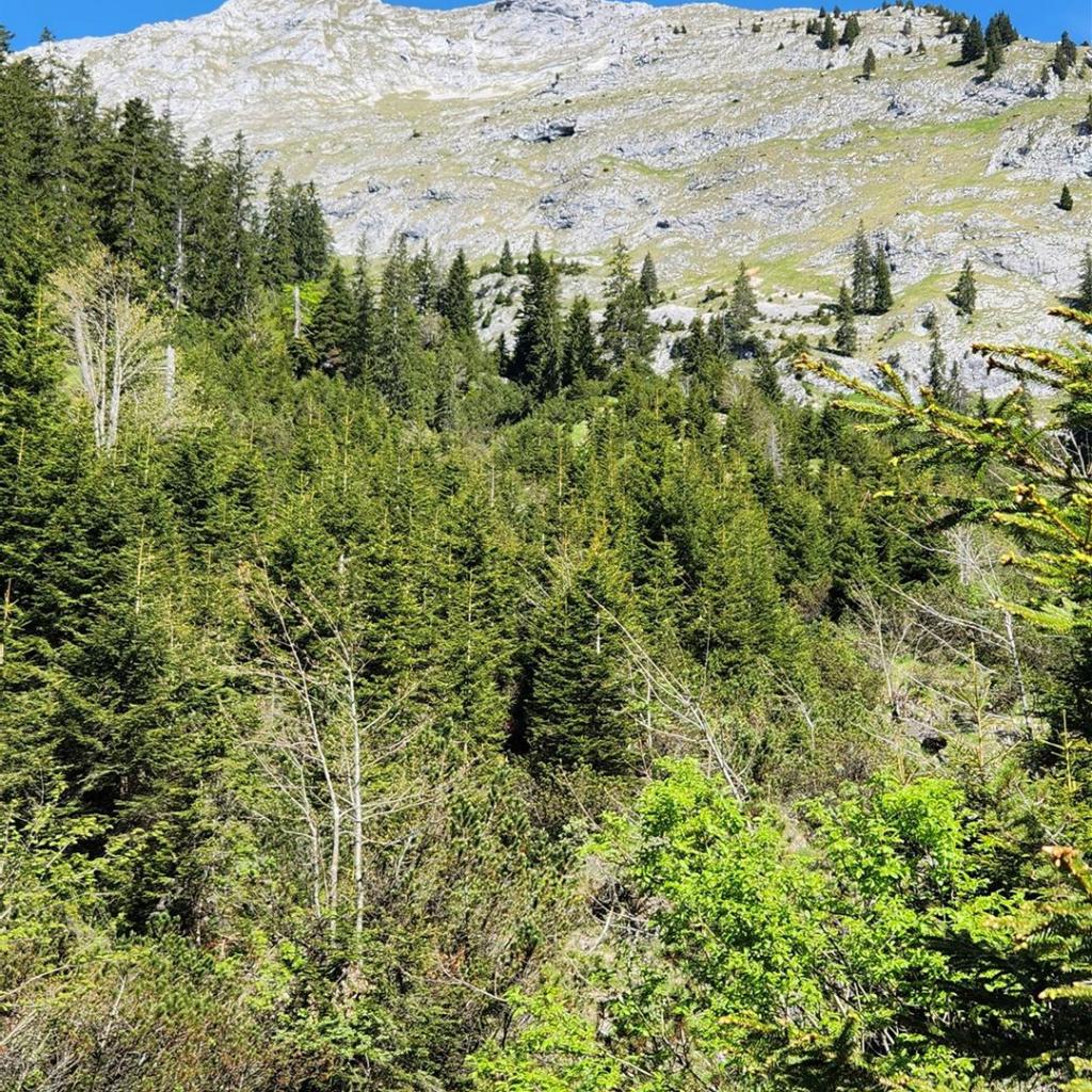 Erster Blick zum Gipfelkreuz