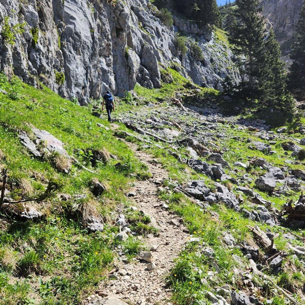 Schöner Steig zum Weitalpjoch