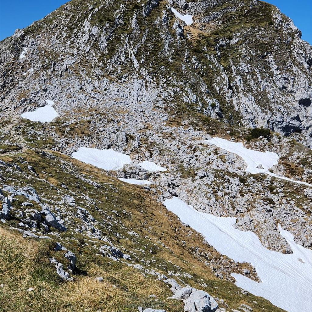 Oberhalb des Latschengeländes