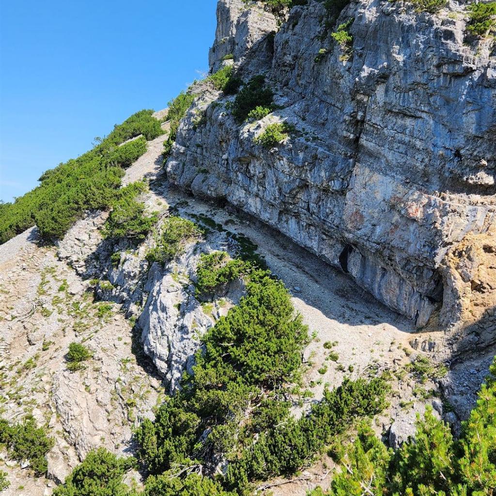 Kraxelei zum Zingerstein (Alpenrosensteig)