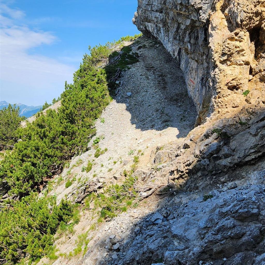 Kraxelei zum Zingerstein (Alpenrosensteig)